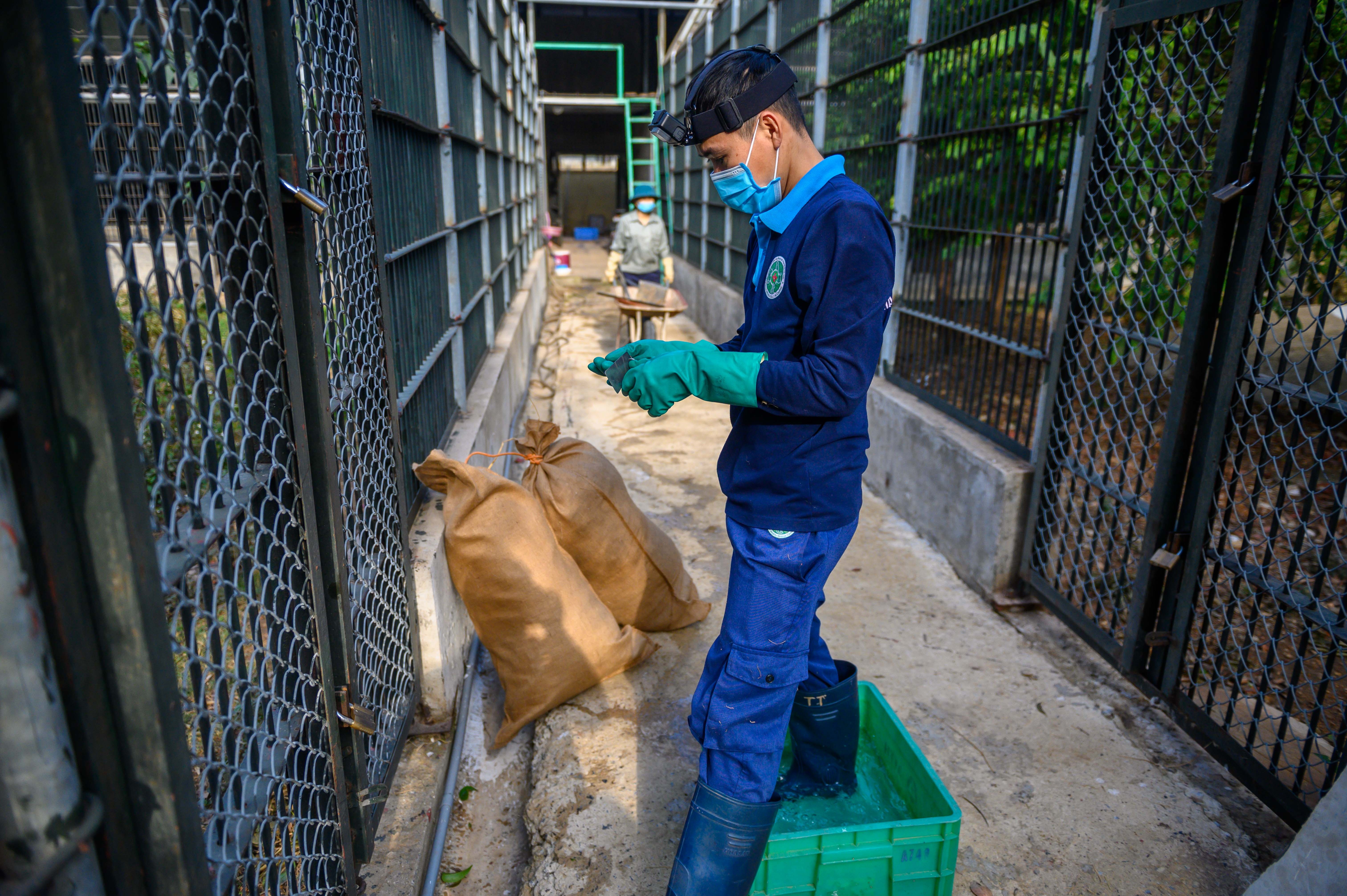 Chuyen ve nhung chua son lam duoc giai cuu anh 2