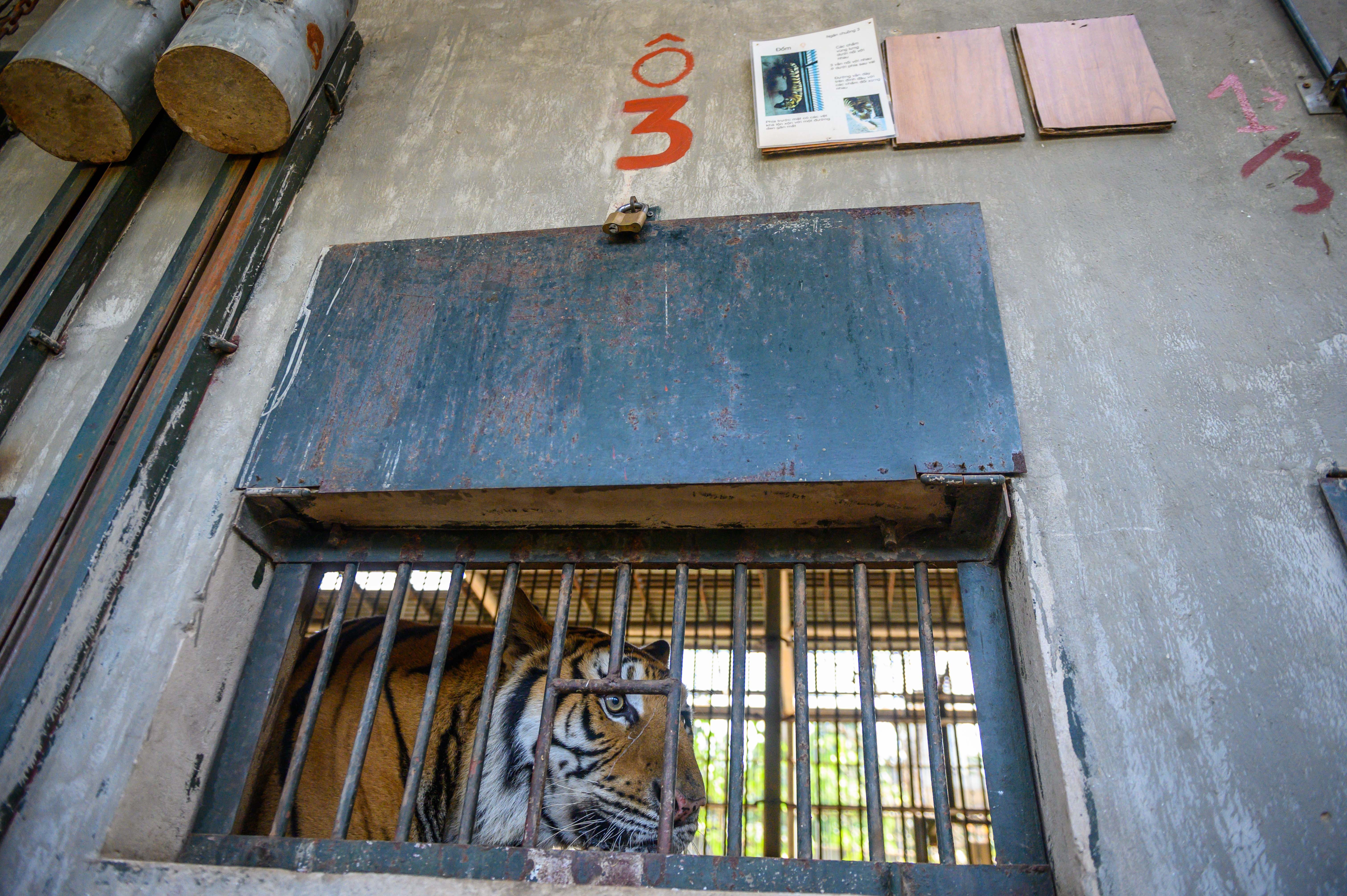 Chuyen ve nhung chua son lam duoc giai cuu anh 23