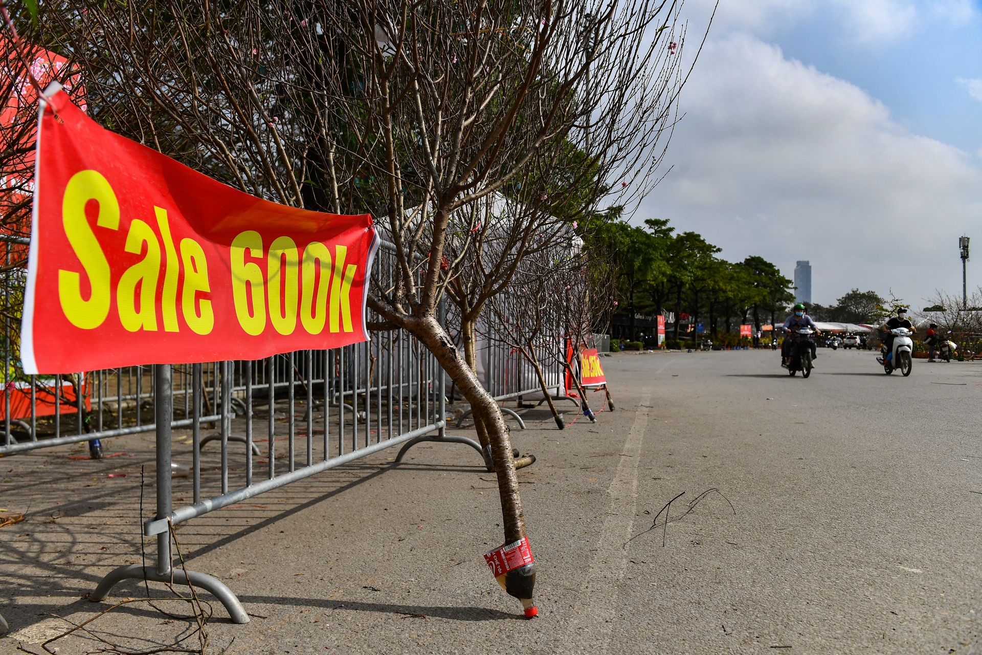 Dao,  quat ha gia nhung ngay sat Tet anh 3