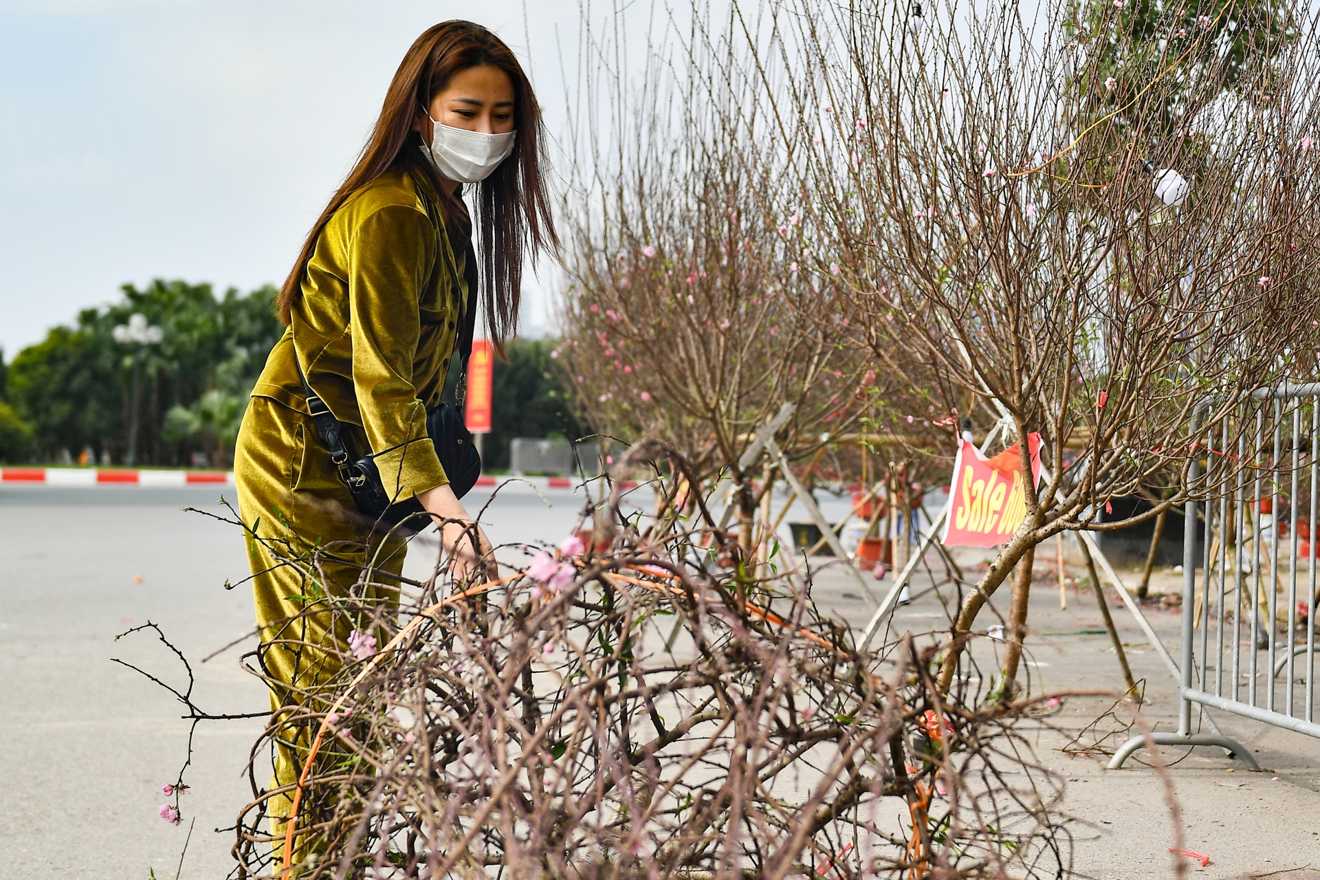 Dao,  quat ha gia nhung ngay sat Tet anh 4