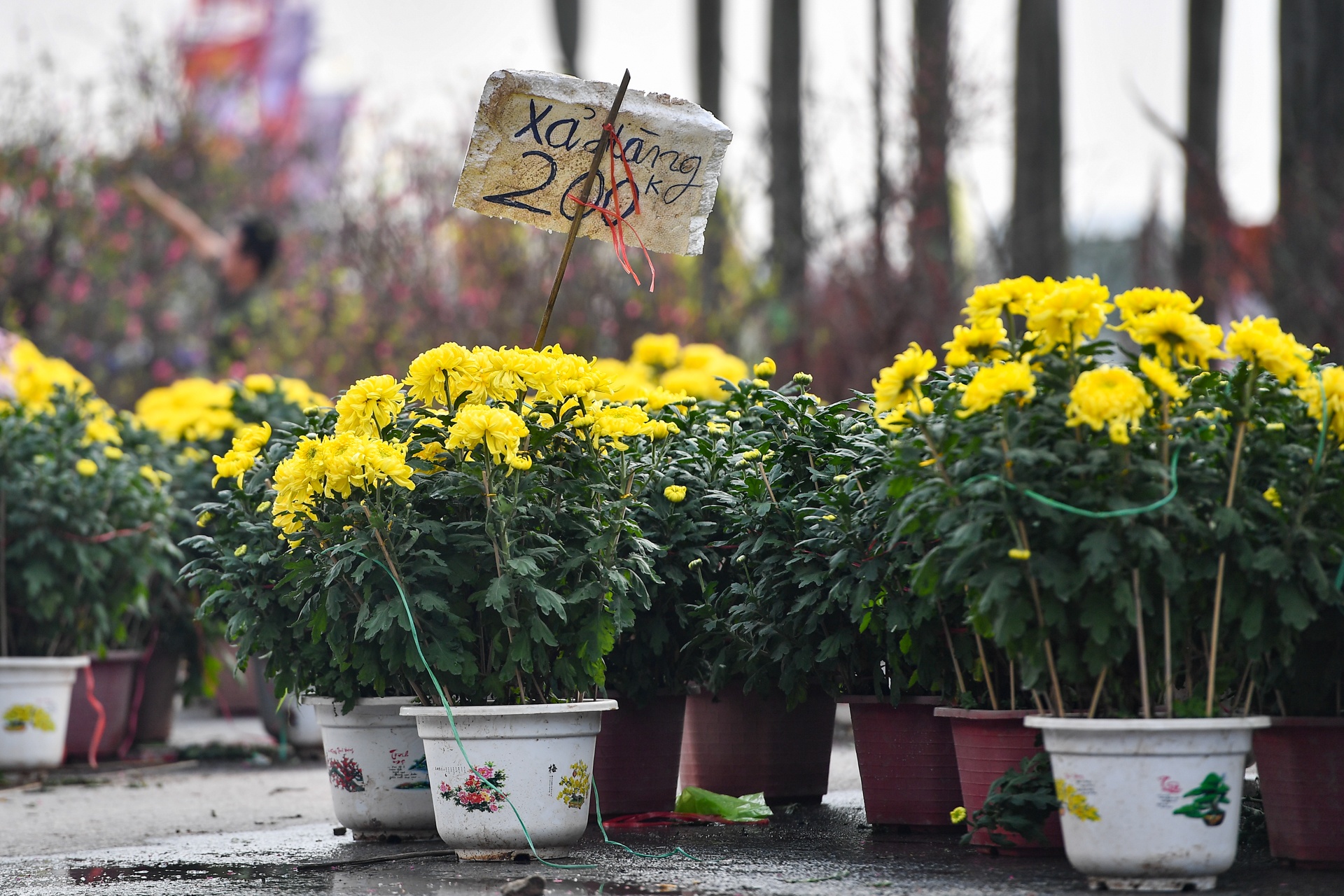 Dao,  quat ha gia nhung ngay sat Tet anh 11