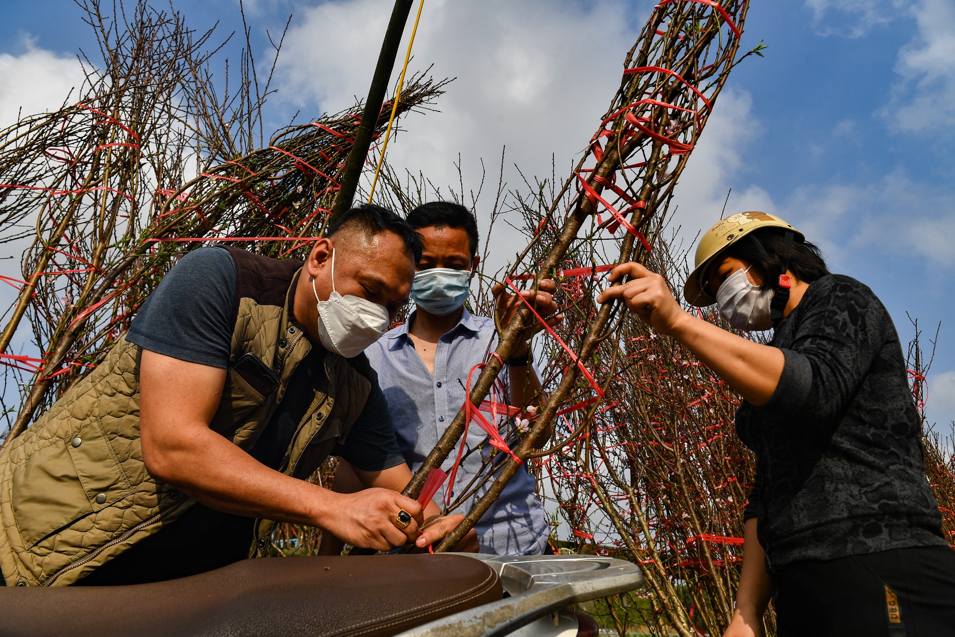 Dao,  quat ha gia nhung ngay sat Tet anh 6