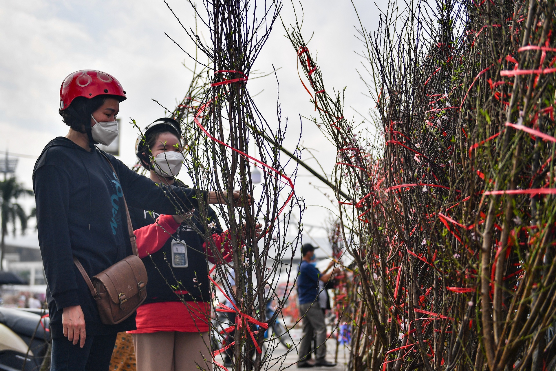 Dao,  quat ha gia nhung ngay sat Tet anh 7