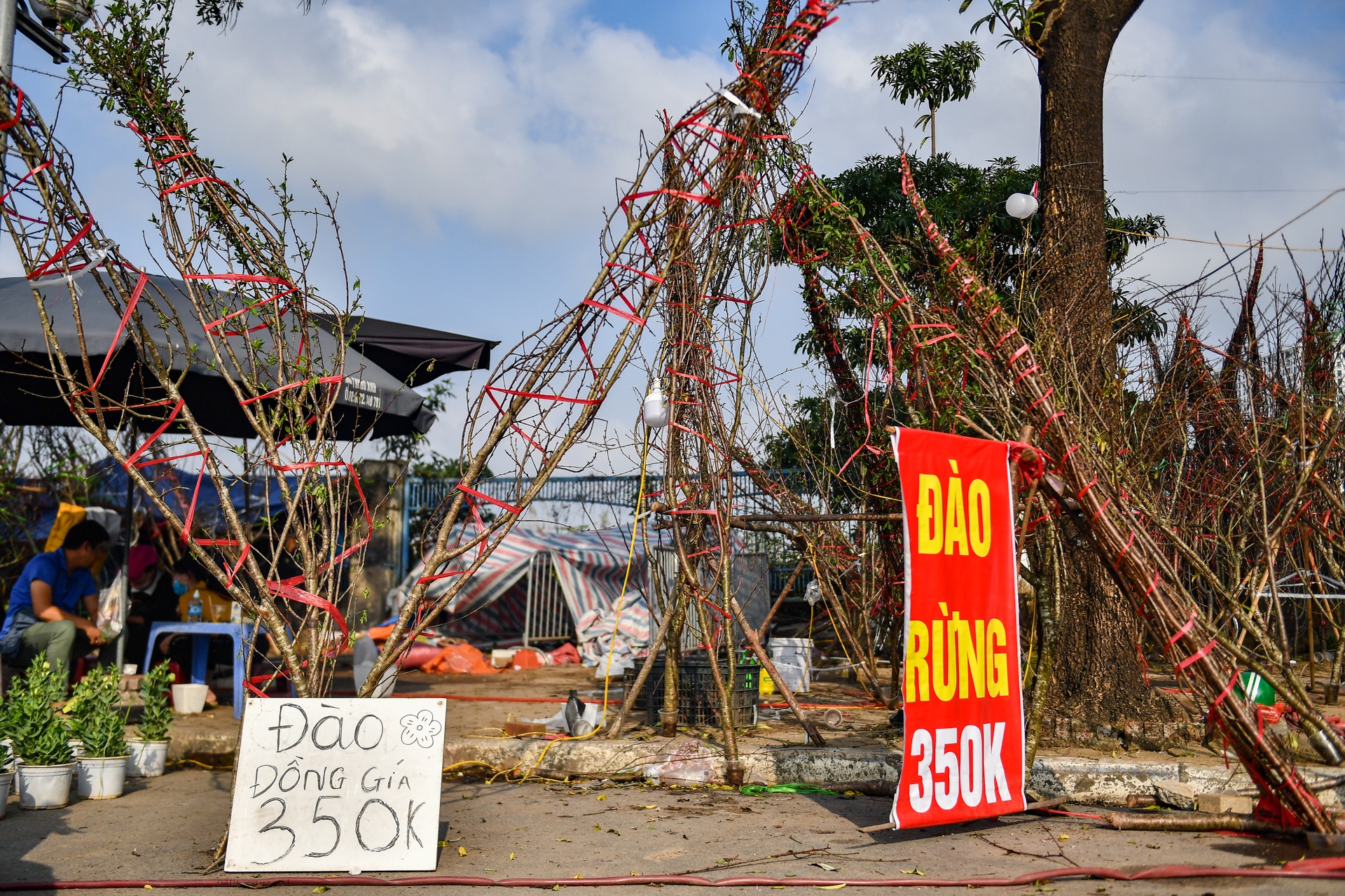 Dao,  quat ha gia nhung ngay sat Tet anh 8