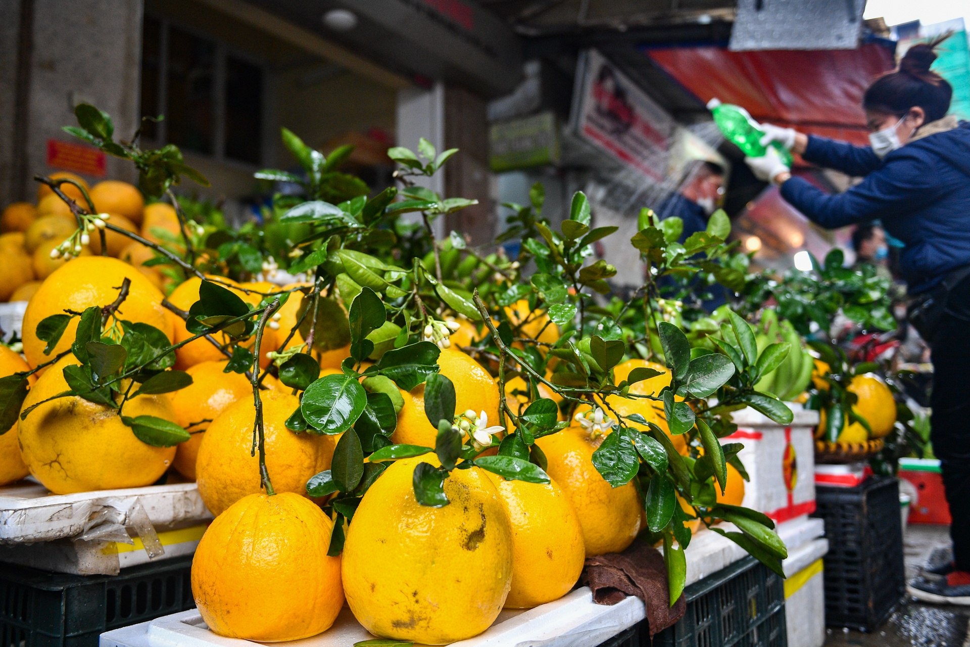 Ga ngam hoa hong cung giao thua dat khach anh 13