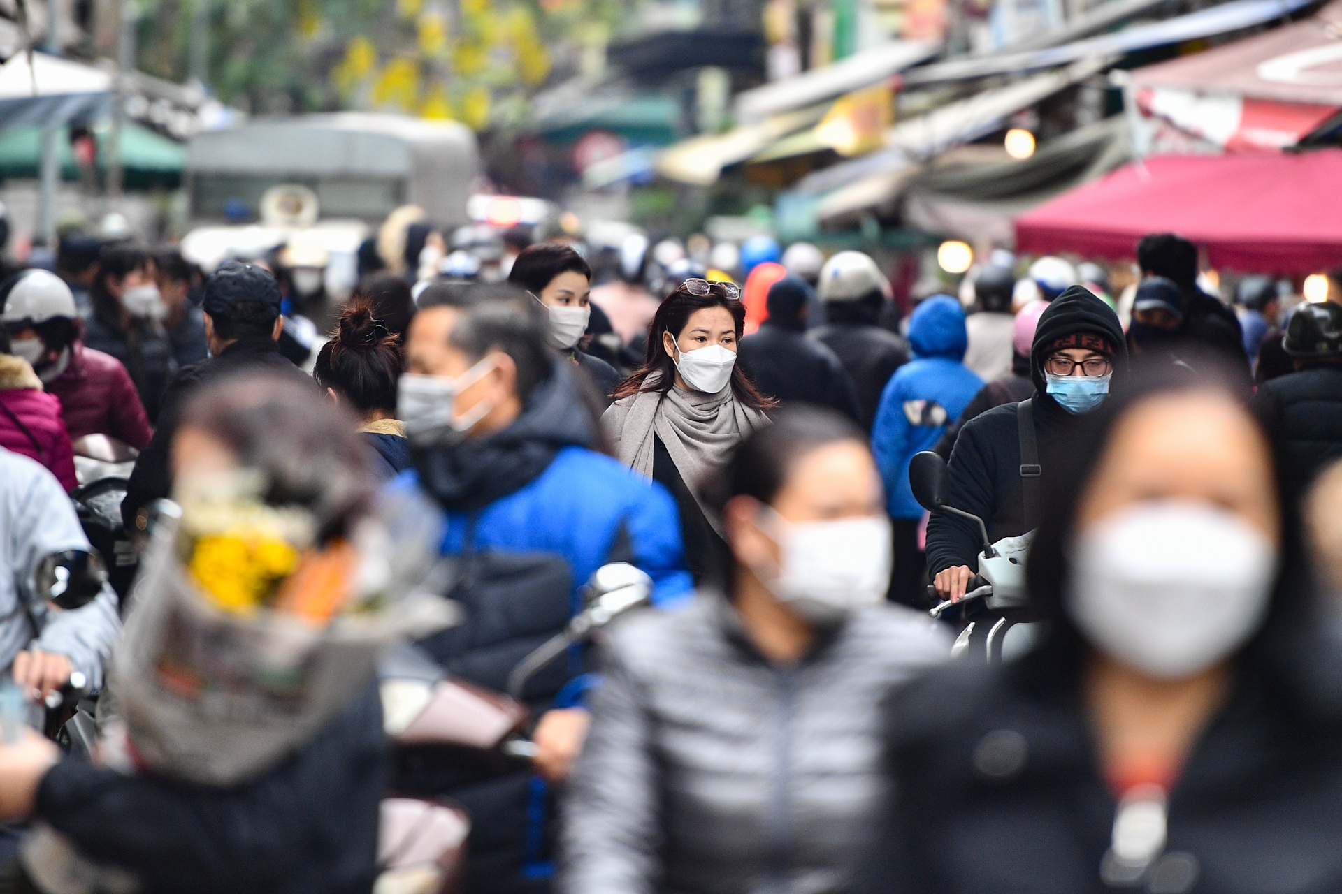 Ga ngam hoa hong cung giao thua dat khach anh 15