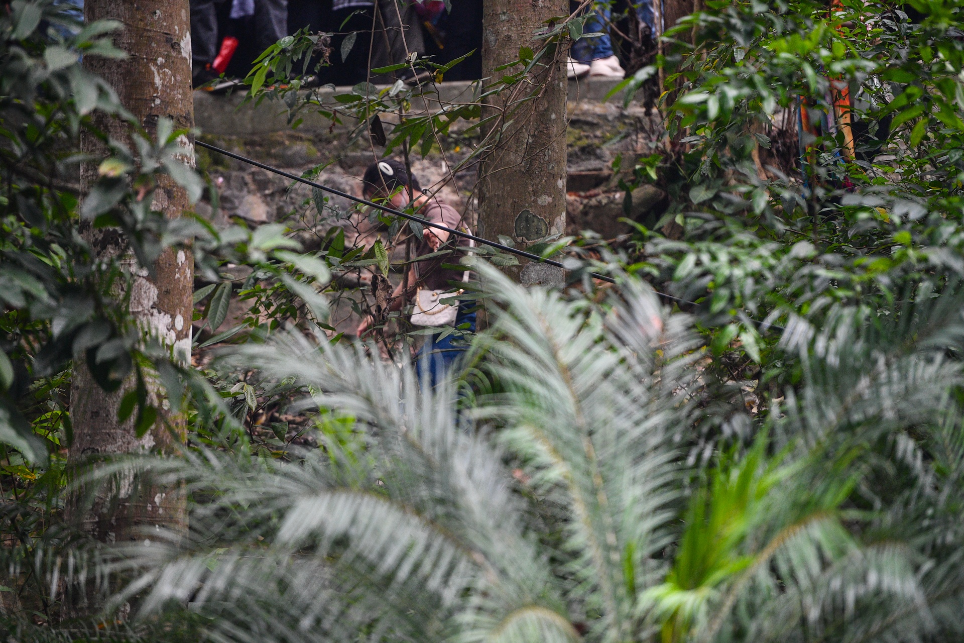 Treo rao len den Hung,  truot tuong "thao chay" vi qua dong anh 9