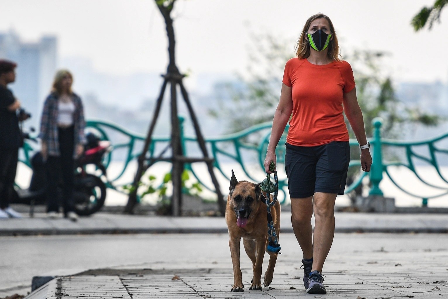 Cho tha rong, khong ro mom tran ngap noi cong cong o Ha Noi hinh anh