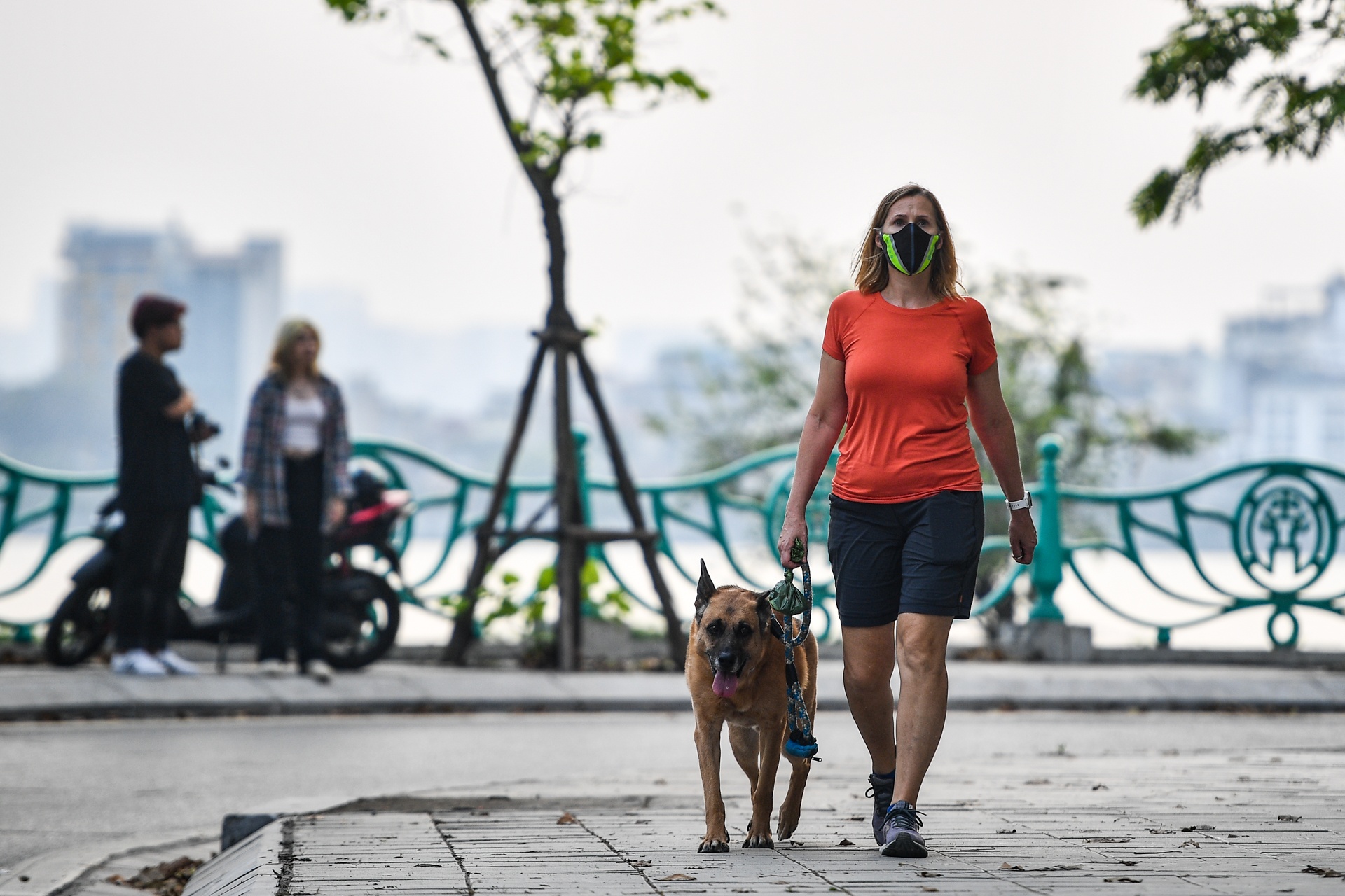 Cho tha rong,  khong ro mom lang thang noi cong cong o Ha Noi anh 2