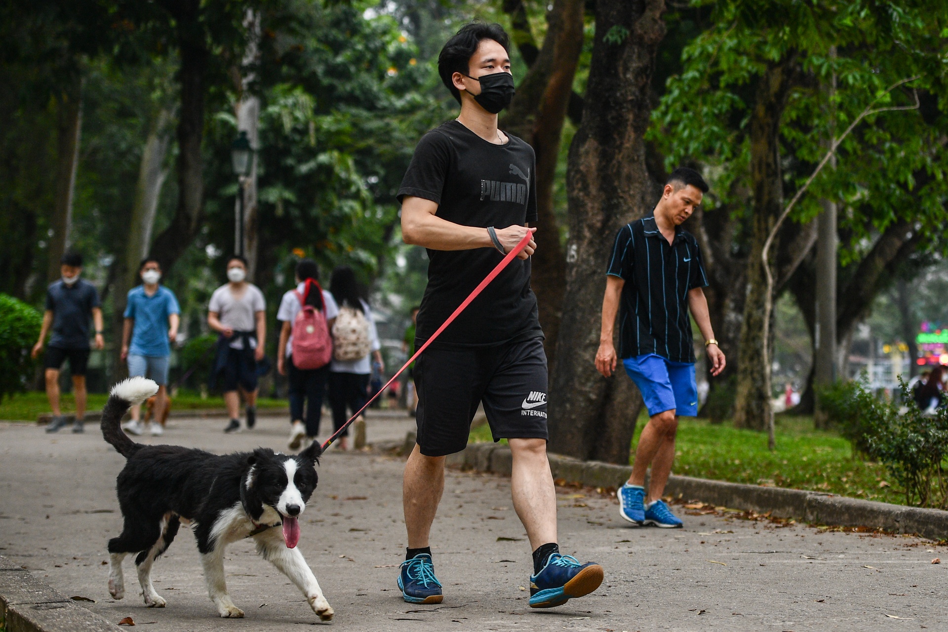 Cho tha rong,  khong ro mom lang thang noi cong cong o Ha Noi anh 7