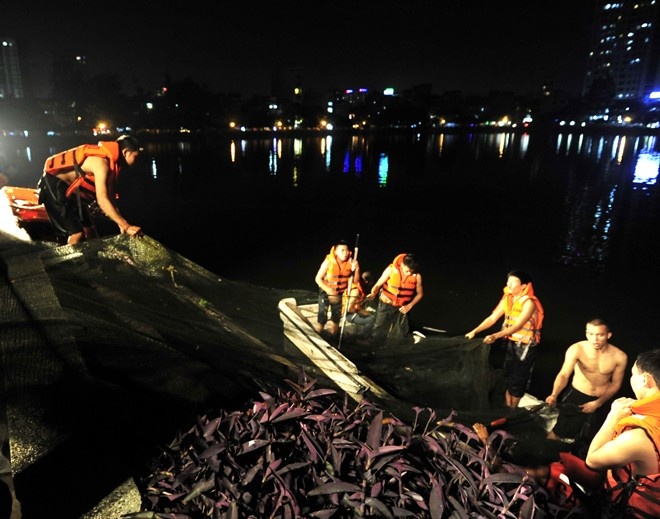 Xac dinh danh tinh thanh nien nhay ho bo lai tien tren bo hinh anh