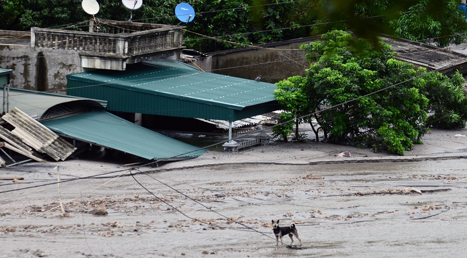 Canh lu bun chua tung thay o Quang Ninh hinh anh