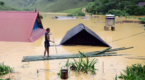 Can canh ngoi lang bi ngap sau toi mai nha hinh anh