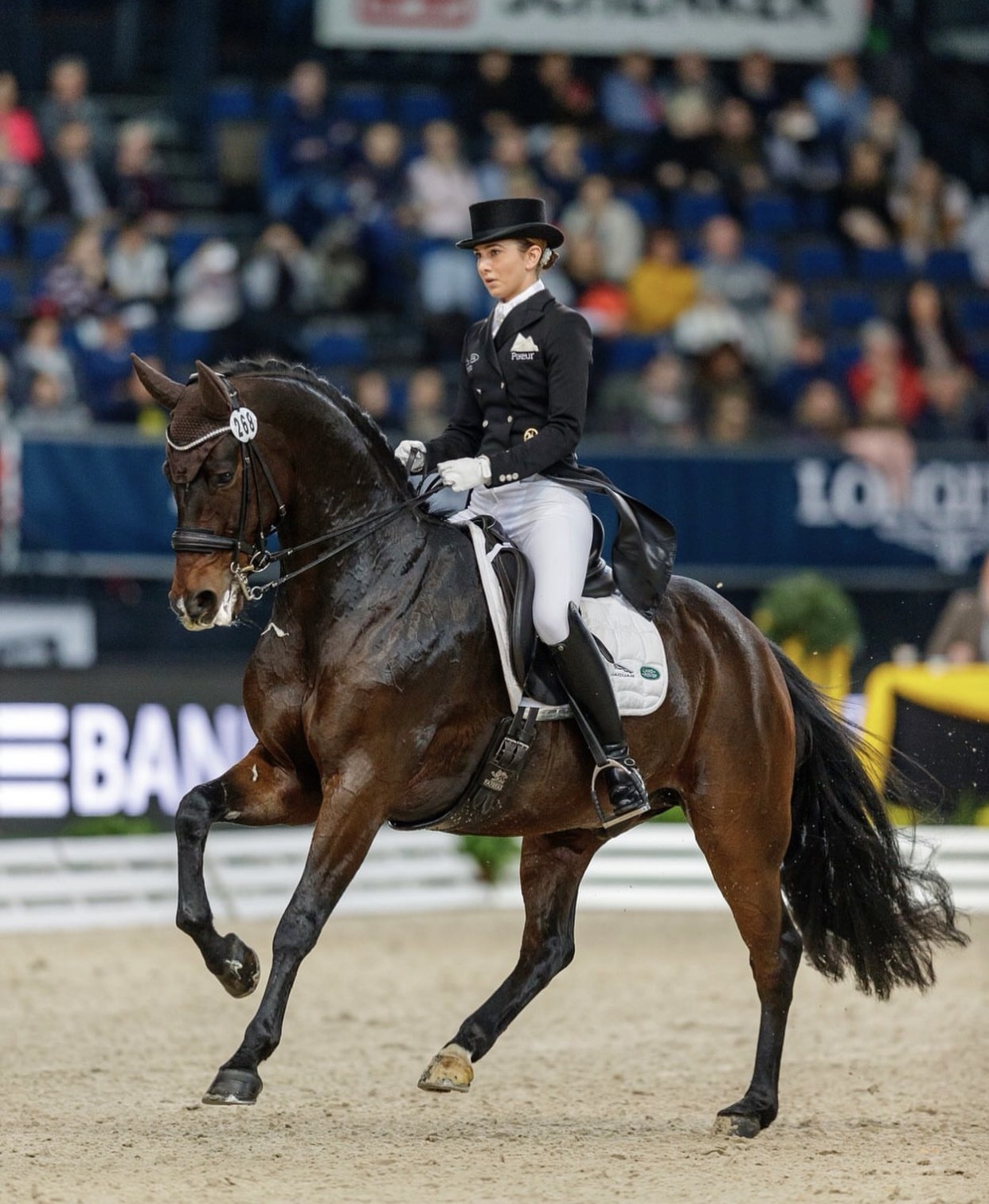 Vo Thomas Muller anh 5