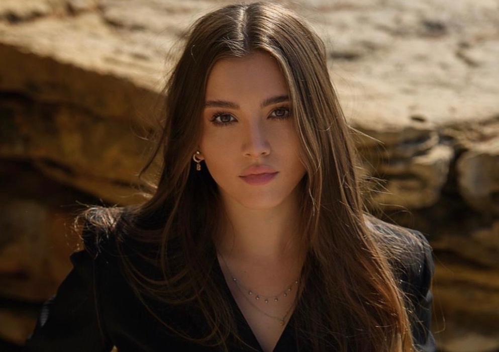 Sac voc ban gai Juan Martin del Potro hinh anh