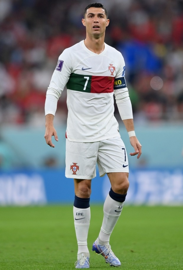 Biet thu cua Ronaldo anh 6