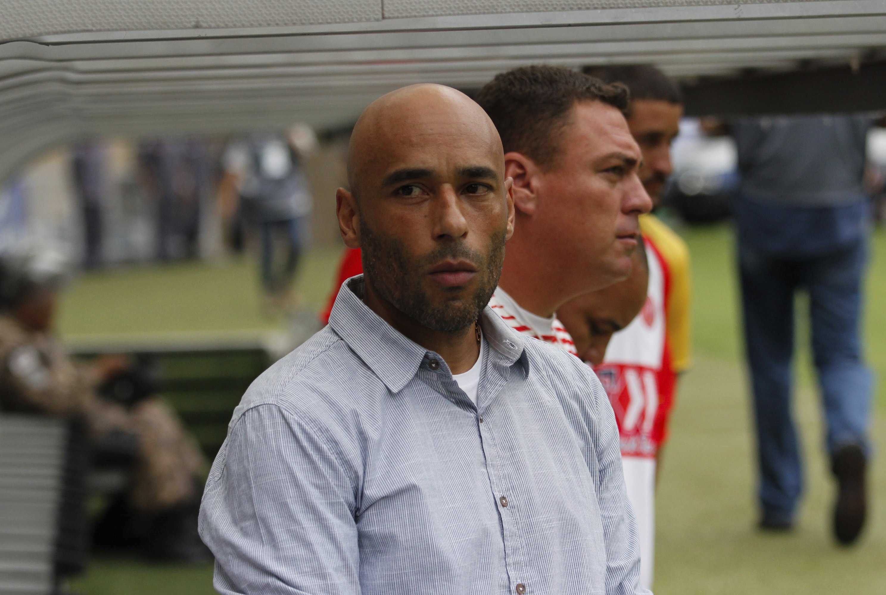 Cac con cua Pele anh 2