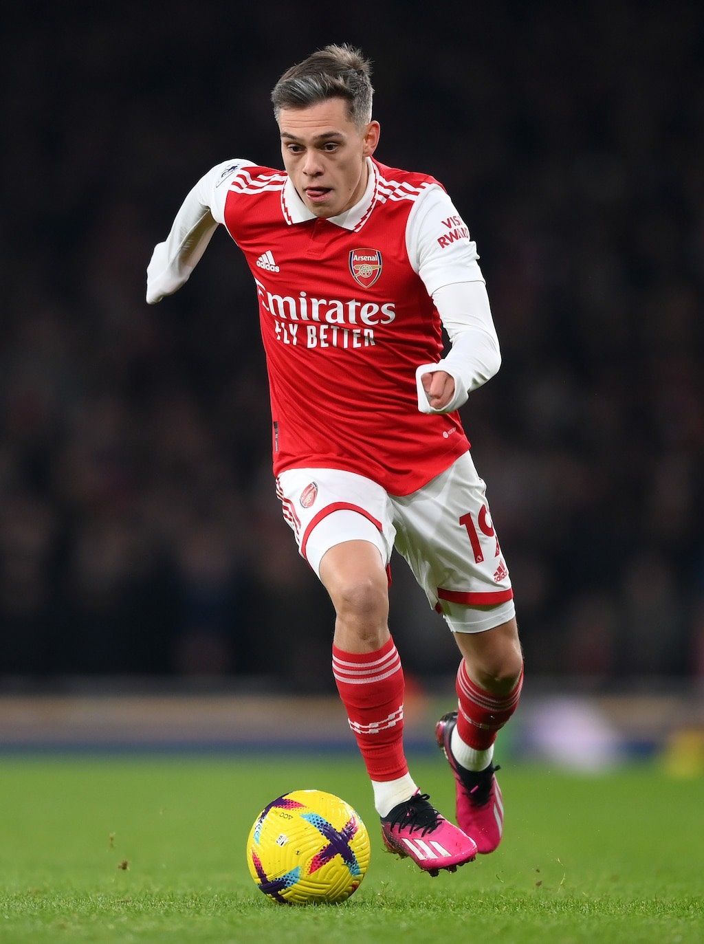 Chan dung vo Leandro Trossard anh 1