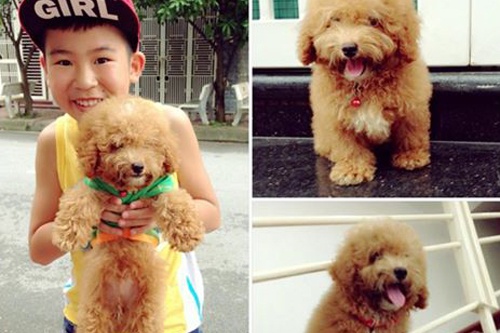 Ngoc Duy da co cun cung du khong duoc giai nhat hinh anh