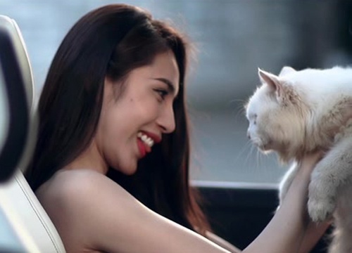 Thuy Tien am meo bong quay MV hinh anh