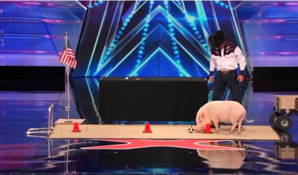 Man trinh dien cua chu lon Mudslinger hinh anh