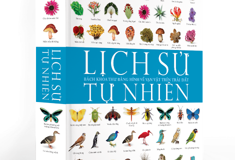 Sach hay moi ngay: 'Lich su tu nhien' hinh anh
