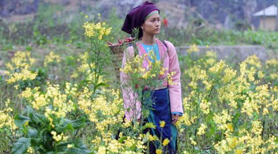 Cảnh đẹp của vùng núi non Tây Bắc với núi non hùng vĩ, cánh đồng hoa tam giác mạch bát ngát... đã thu hút sự khán giả yêu điện ảnh sau những bộ phim như Chuyện của Pao hay Thung lũng hoang vắng... Ảnh: T.L.