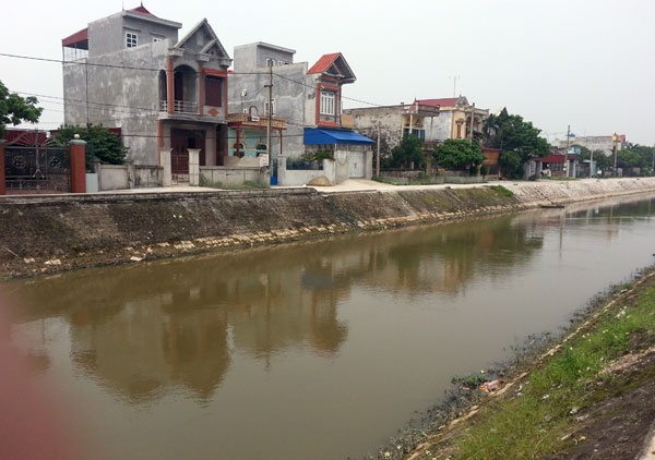 Sat hai nam thanh nien roi dung hien truong gia hinh anh