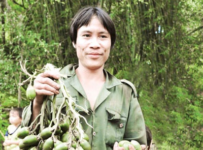 'Nguoi rung' chuan bi don Tet hinh anh