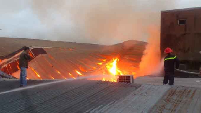 Chay lon lai xay ra tai nha may che bien go o Gia Lai hinh anh