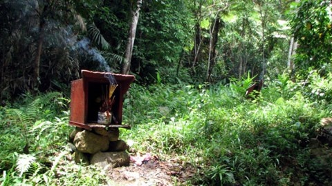 Cuoc tham sat kinh hoang loi 18 'phu' vang vao rung ban chet hinh anh