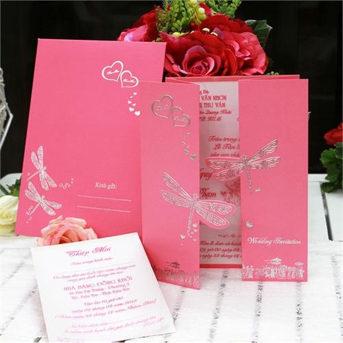 Canh sat lan ra thu pham vu trom thong qua tam thiep cuoi hinh anh