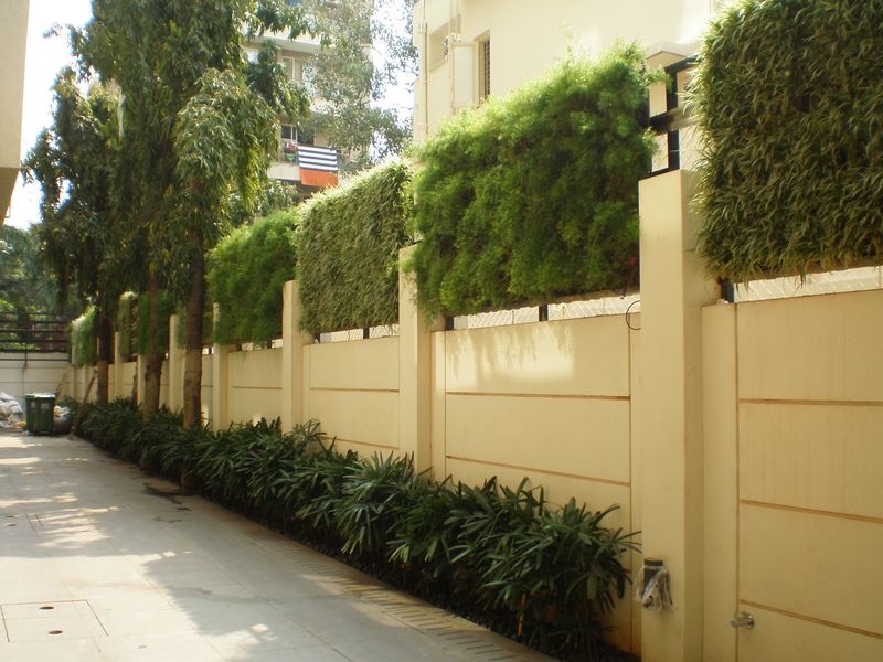 Thieu nu treo tuong dang 'cai ngan vang' cho ban trai hinh anh