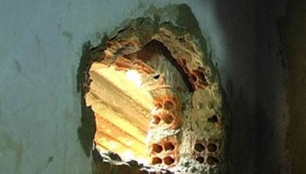 Ba ke bat hao va 5 ngay duc tuong trai giam hinh anh