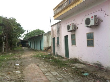 Niu tinh yeu khong thanh, ga trai hai ban tinh hon 11 tuoi hinh anh