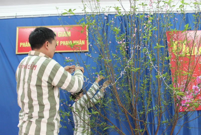 Các phạm nhân tự tay trang trí cây đào trong nhà ăn để đón tết.