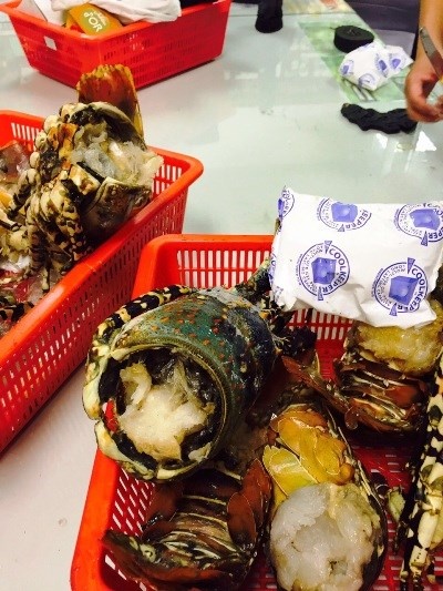 Sung te giac lau giau trong dau tom hum dong lanh hinh anh