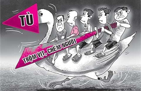 Ca nhom di tu vi… bay vit song chuong hinh anh