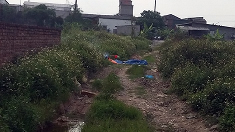 Nam sinh cua co ban gai cung lop de cuop xe dap dien hinh anh