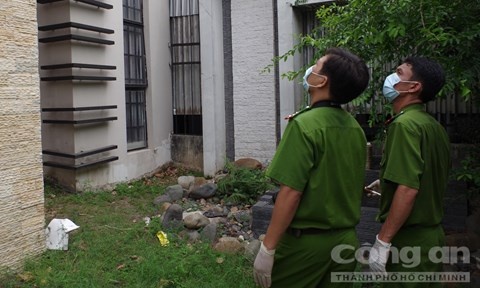 'Qua man ro' hinh anh