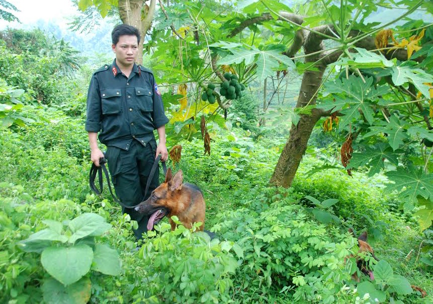 Nghi can giet 4 nguoi roi bo tron co mang theo sung hinh anh