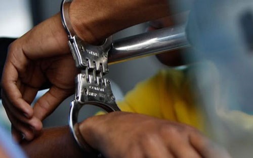 Luat su phan ung nhanh, tai sao khong? hinh anh