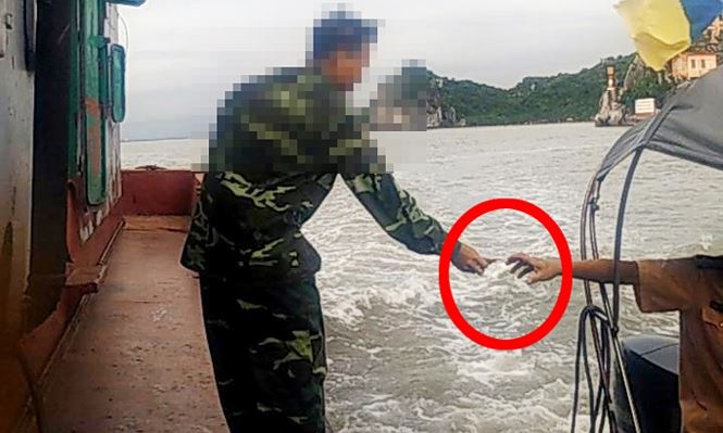 Mai lo tren song anh 1