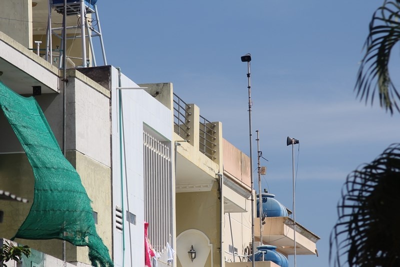 Dung tieng chim la de 'dau' tieng chim yen hinh anh