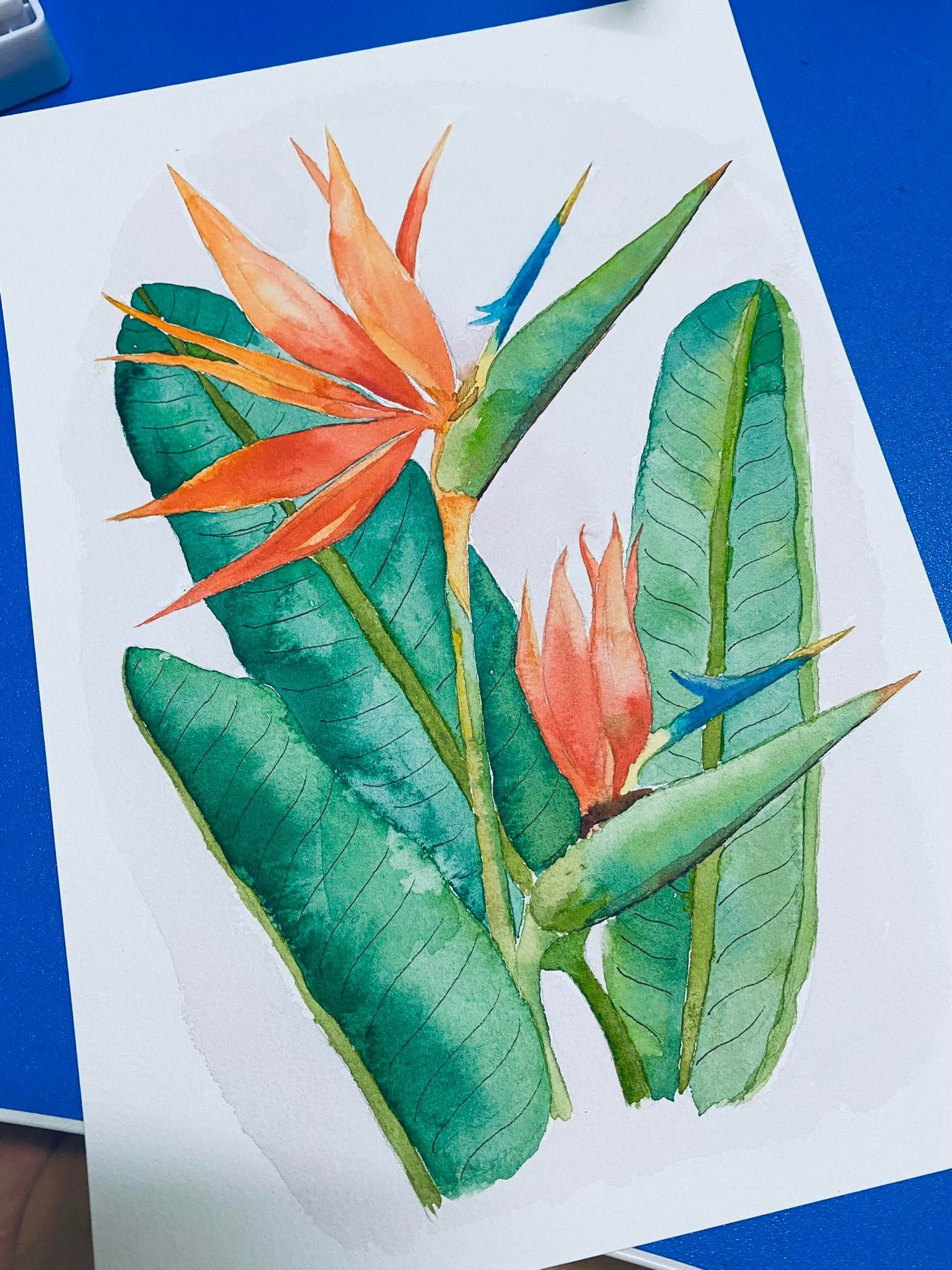 Dan van phong hoc ve de giam ap luc anh 2