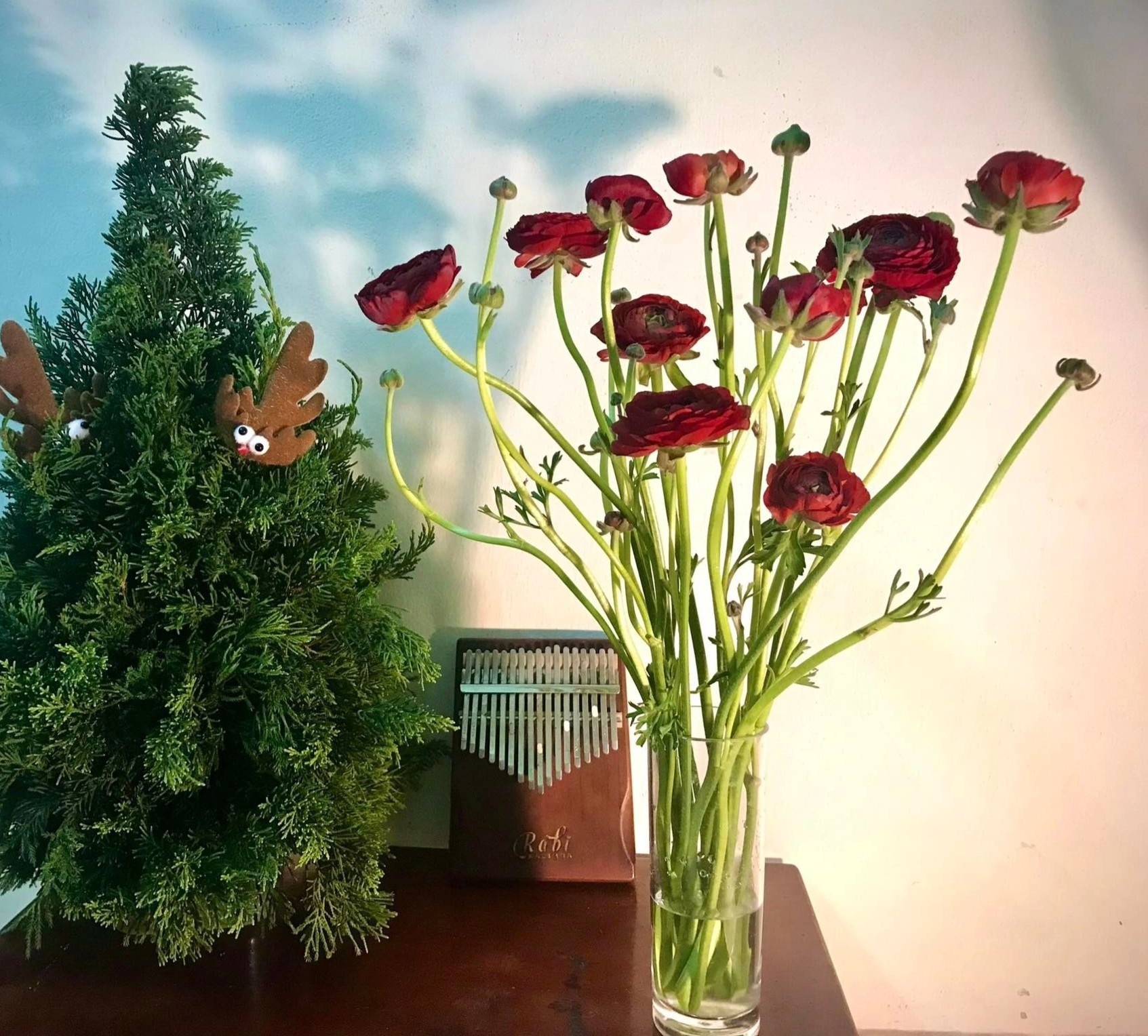 Học cắm hoa nghệ thuật ảnh 4 Hoc cam hoa nghe thuat anh 4