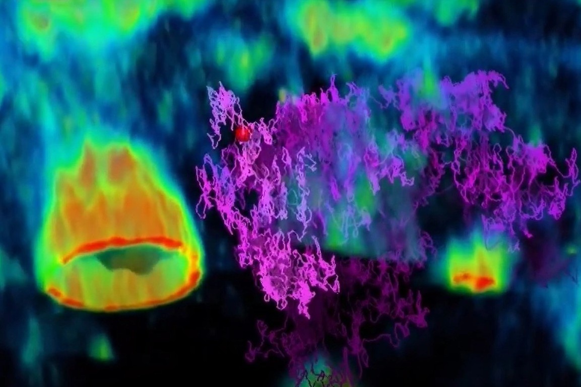 Khoanh khac virus di chuyen truoc khi tan cong te bao hinh anh