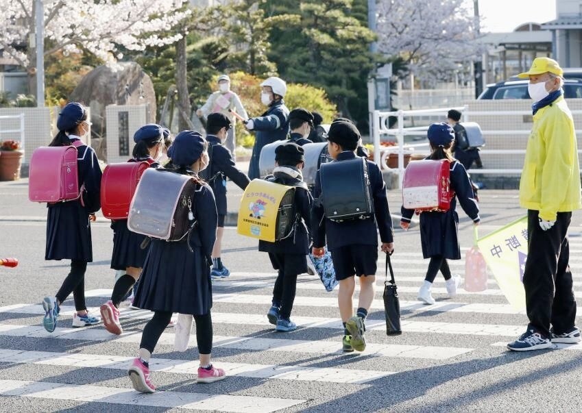 Tim thay nhieu xac meo tai truong tieu hoc o Nhat Ban hinh anh