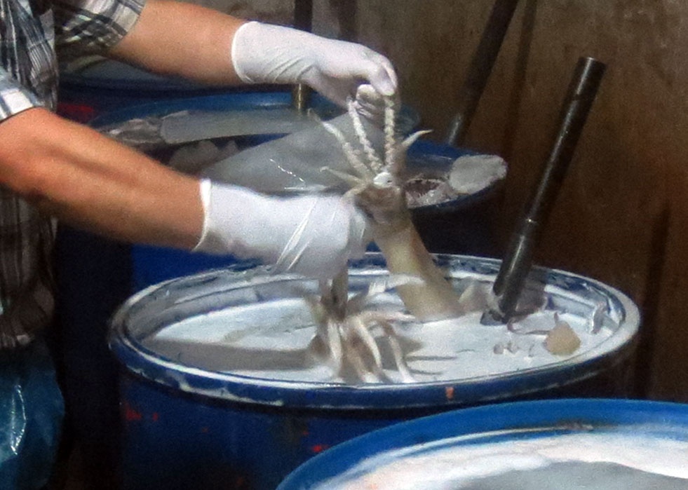 Ben trong xuong ngam tam muc thoi o Ha Noi hinh anh