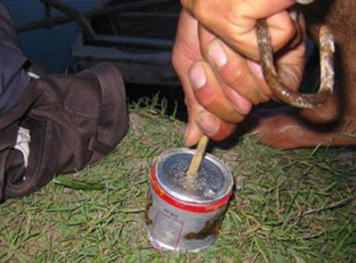 Nem qua no doi no giua dem khuya hinh anh